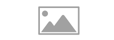 Logo Placeholder